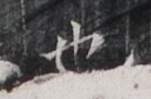 https://image.kanji.zinbun.kyoto-u.ac.jp/images/iiif/zinbun/takuhon/kaisei/H1005.tif/3870,7887,139,91/full/0/default.jpg